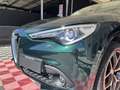 Alfa Romeo Stelvio Stelvio 2.2 Turbodiesel 190 CV AT8 Q4 Ti Groen - thumbnail 21