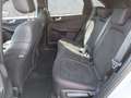 Ford Kuga Hybrid Graphite Tech Edition Grau - thumbnail 12