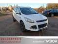 Ford Kuga 1.5 EcoBoost 4x2 Trend LM SHZ PDC Klima GRA Blanc - thumbnail 2
