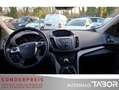 Ford Kuga 1.5 EcoBoost 4x2 Trend LM SHZ PDC Klima GRA Blanc - thumbnail 5