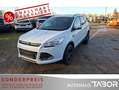 Ford Kuga 1.5 EcoBoost 4x2 Trend LM SHZ PDC Klima GRA Blanc - thumbnail 1