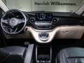 Mercedes-Benz V 300 d RWD Marco Polo  Top Ausstattung Gris - thumbnail 17