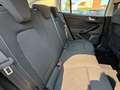 Ford Focus Focus Active V 2022 SW Active SW 1.5 ecoblue 120cv Bianco - thumbnail 11