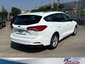 Ford Focus Focus Active V 2022 SW Active SW 1.5 ecoblue 120cv Bianco - thumbnail 4