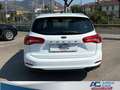 Ford Focus Focus Active V 2022 SW Active SW 1.5 ecoblue 120cv Blanc - thumbnail 5