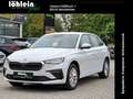 Skoda Scala Selection Bianco - thumbnail 1