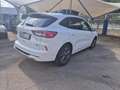 Ford Kuga ST-Line 2.5 Duratec FHEV 140kW Auto 190CV Blanco - thumbnail 4
