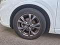 Ford Kuga ST-Line 2.5 Duratec FHEV 140kW Auto 190CV Blanco - thumbnail 11