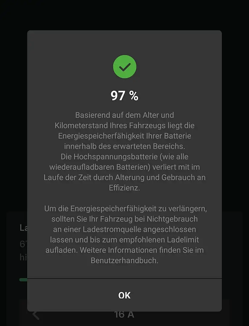 Tesla Model Y Long Range AWD 79kWh Hardware4, AHK, Erstbesitz Blau - 2