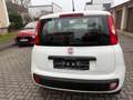 Fiat New Panda Pop Klima Servo Weiß - thumbnail 8