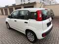 Fiat New Panda Pop Klima Servo Weiß - thumbnail 12