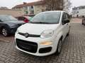 Fiat New Panda Pop Klima Servo Weiß - thumbnail 2