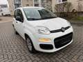 Fiat New Panda Pop Klima Servo Weiß - thumbnail 6