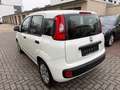 Fiat New Panda Pop Klima Servo Weiß - thumbnail 9