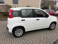 Fiat New Panda Pop Klima Servo Weiß - thumbnail 4