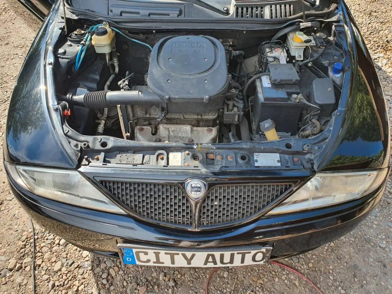 Lancia Ypsilon Cosmopolitan nero / elek. Faltdach/HU Neu, foto 10