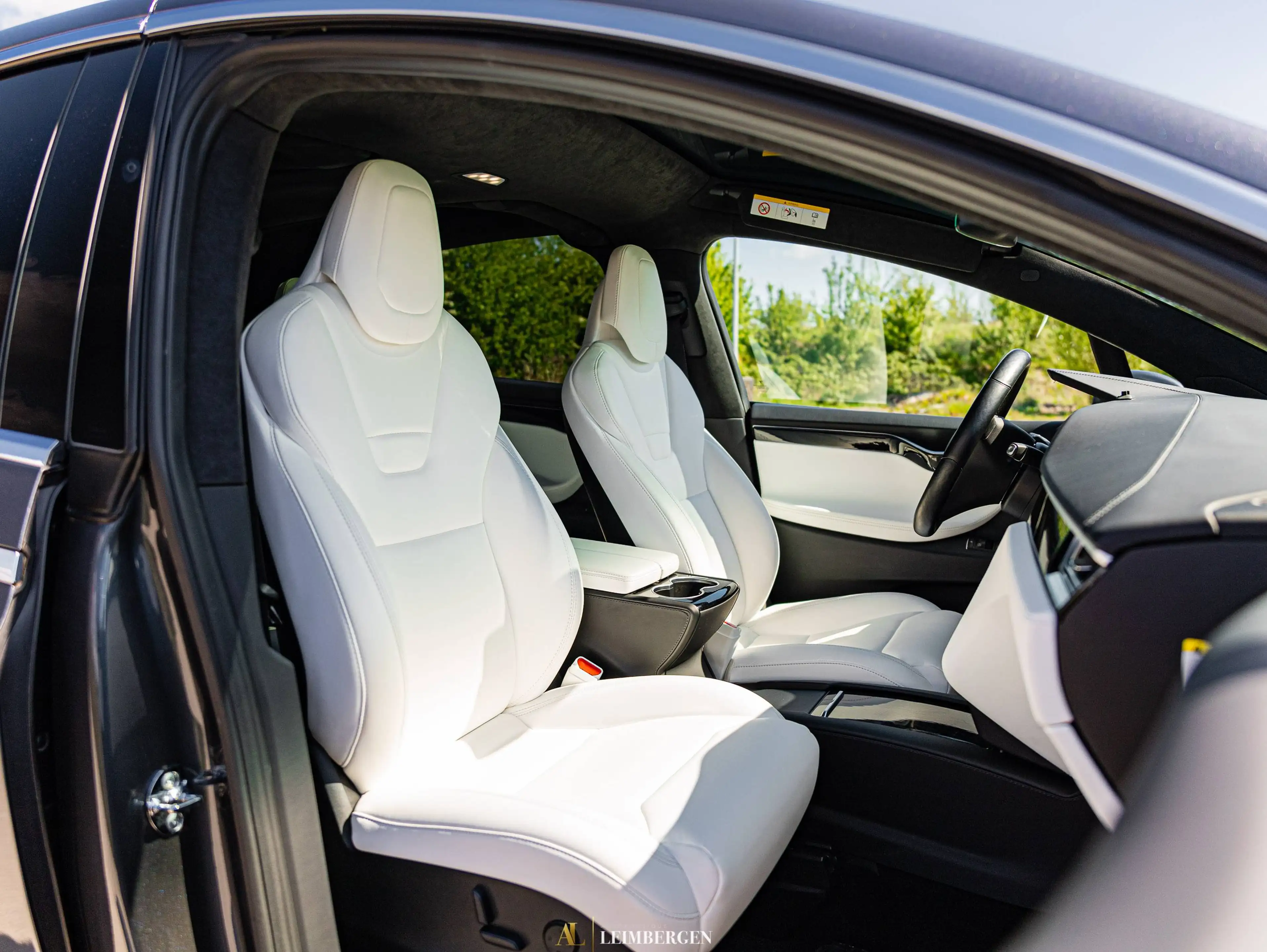 Tesla Model X 100D (100 kWh) Dual Motor / 6-seats / 22 Inch Onyx Wheels / White Interior / Autopilot / Air Susp — photo 14