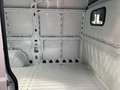Fiat Ducato Maxi Hochr.-Kasten 35 140 L2H2 RS: 3450 m - thumbnail 10