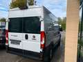 Fiat Ducato Maxi Hochr.-Kasten 35 140 L2H2 RS: 3450 m - thumbnail 7