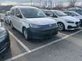 Volkswagen Caddy Basis /ACC/PDC Blanc - thumbnail 10