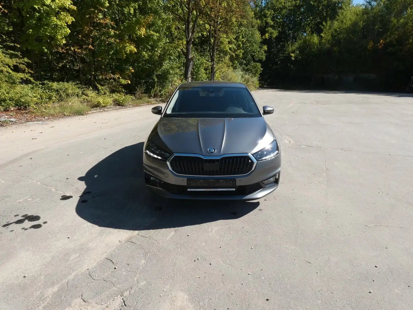 Skoda Fabia Selection1.0TSI DSG LED SHZ Kessy Grau - 2