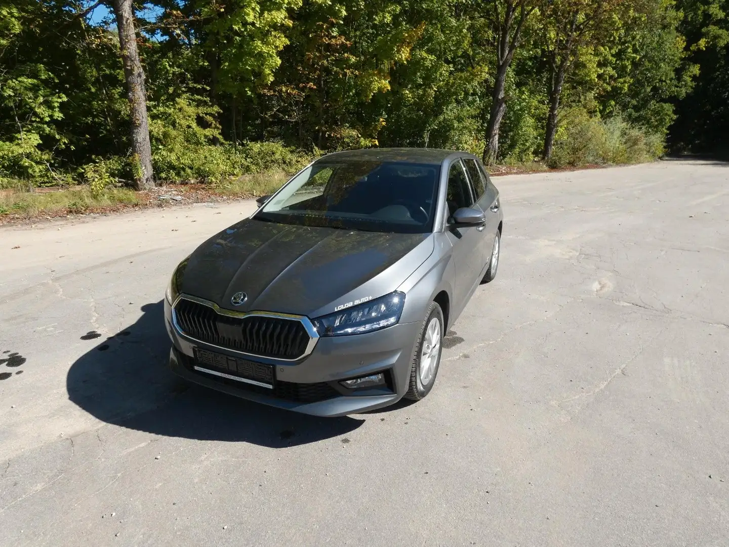 Skoda Fabia Selection1.0TSI DSG LED SHZ Kessy Grau - 1