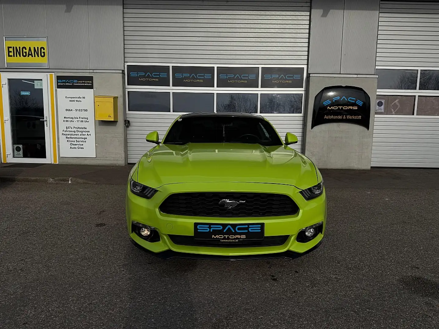 Ford Mustang 2,3 EcoBoost Aut. EU (Unfallfrei) Grün - 2