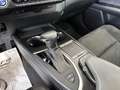 Lexus UX 200 UX 250h 2.0 Executive 2wd cvt Pomarańczowy - thumbnail 13