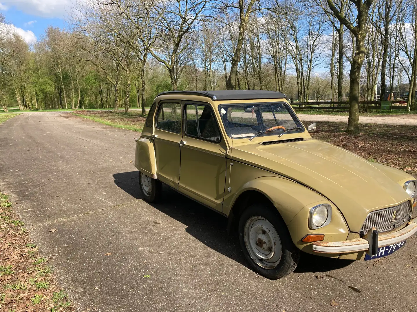 Citroen Dyane 6 Confort Бронзовий - 1