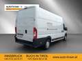 Opel Movano Movano L4H3 2,2 BlueHDI 165 Cargo Basis 3,5t+ White - thumbnail 5