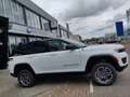 Jeep Grand Cherokee Plug-in Hybrid 4xe Trailhawk Wit - thumbnail 32