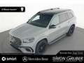 Mercedes-Benz GLS 580 4M AMG Manufaktur E-Active OffroadTech Gri - thumbnail 12