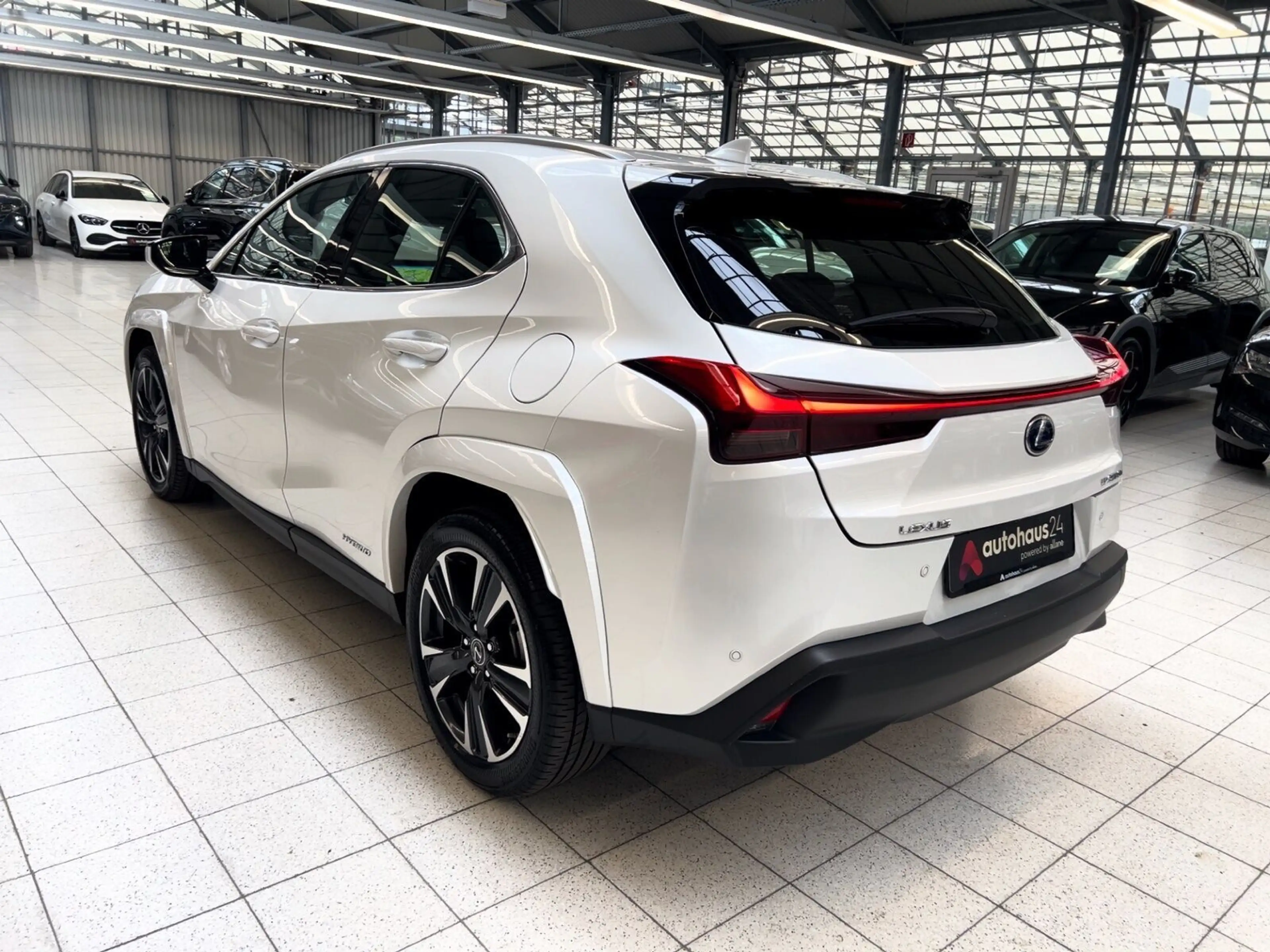 Lexus UX 250h Luxury Line|360°|Schiebedach — photo 4