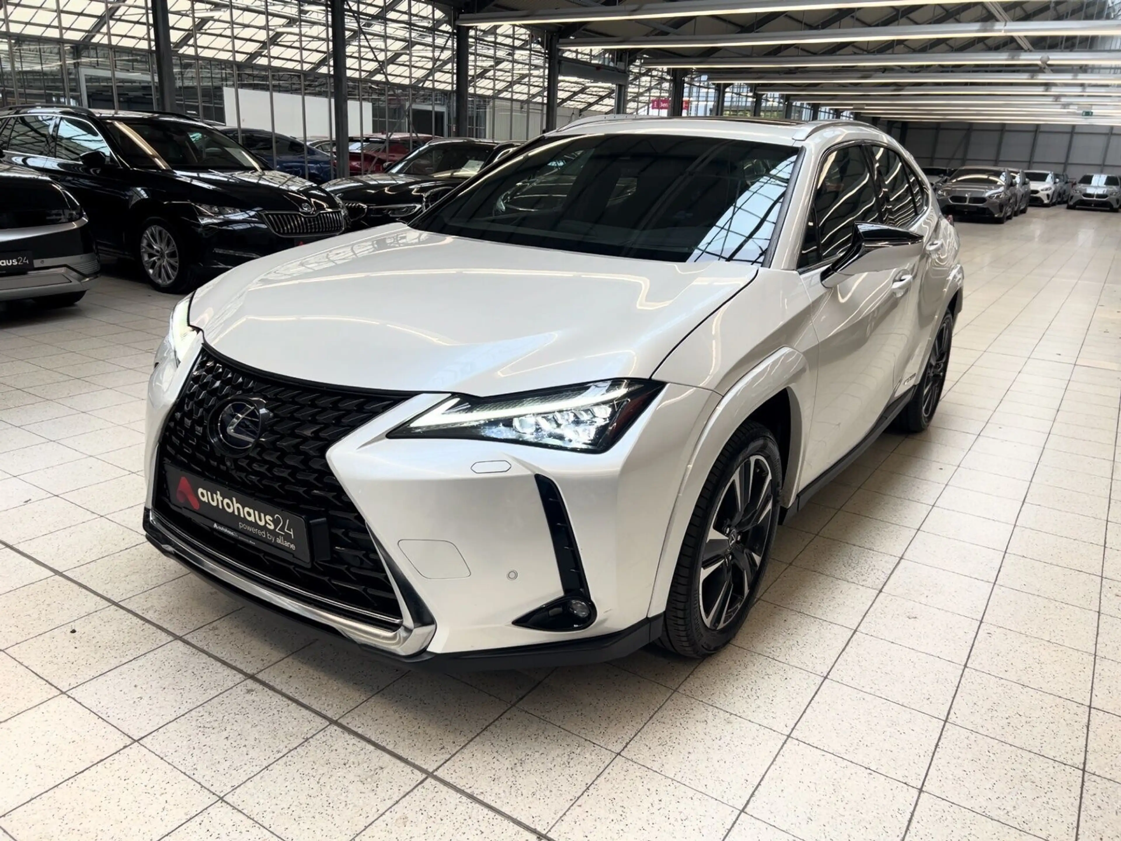 Lexus UX 250h Luxury Line|360°|Schiebedach — photo 3