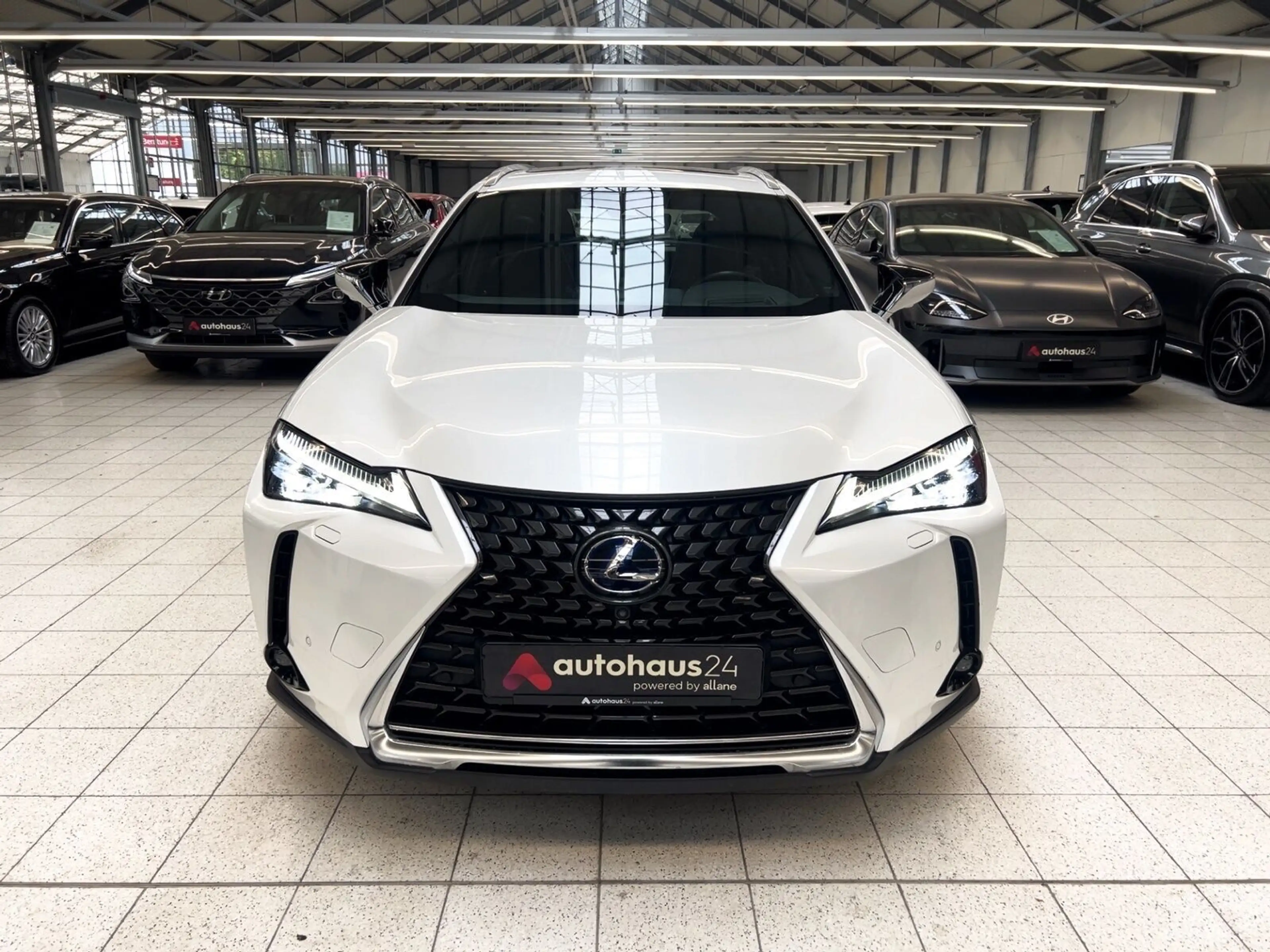 Lexus UX 250h Luxury Line|360°|Schiebedach — photo 2
