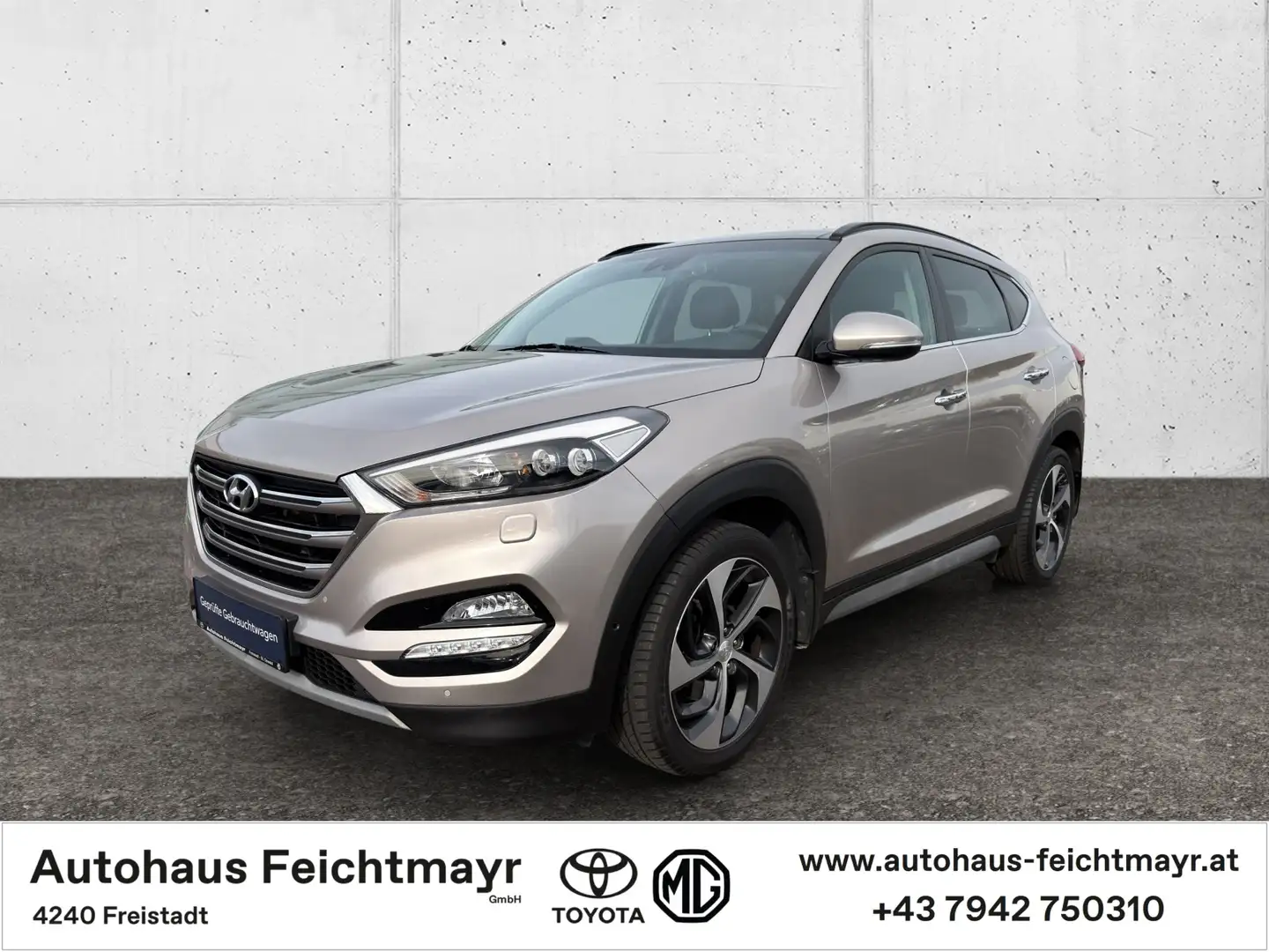 Hyundai TUCSON 2,0 4WD Platin Aut. 5t. Argent - 1