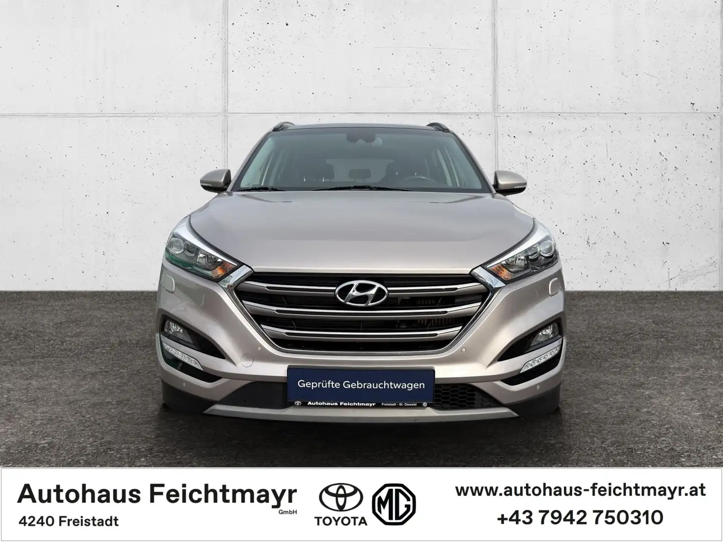 Hyundai TUCSON 2,0 4WD Platin Aut. 5t. Argent - 2