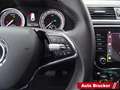 Skoda Superb Combi Ambition 2.0 TDI Navi el Heckklappe Grau - thumbnail 14