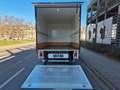 Hyundai H350 L2 Eco Berco Koffer Bär LBW Weiß - thumbnail 7