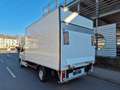 Hyundai H350 L2 Eco Berco Koffer Bär LBW Weiß - thumbnail 5