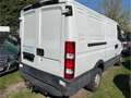 Iveco Daily 35S14 Blanc - thumbnail 3