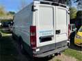 Iveco Daily 35S14 Weiß - thumbnail 4