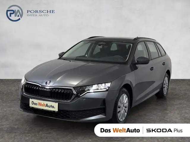 2026 Skoda Octavia in Grey for sale