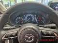 Mazda CX-30 Exclusive-Line 2WD 2.0 SKYACTIV-G M Hybrid 150 EU6 Weiß - thumbnail 10