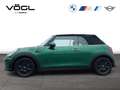 MINI Cooper Cabrio Cooper Cabrio Head-Up Classic Trim Head-Up Sportsi Verde - thumbnail 4