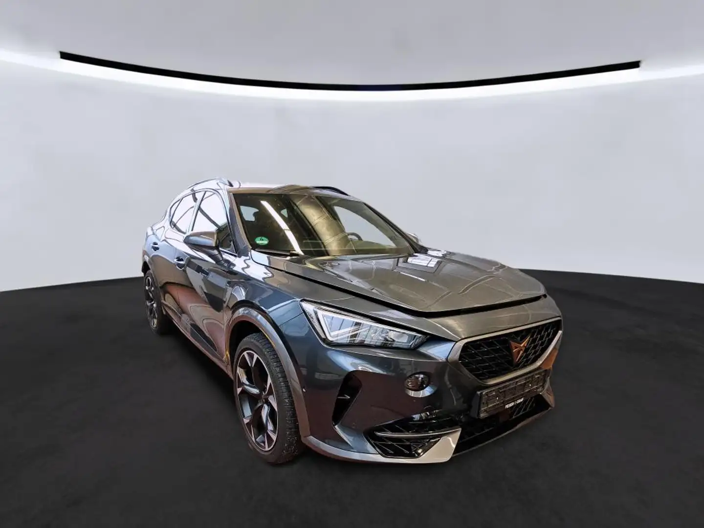 CUPRA Formentor 2.0 TSI DSG VZ 4Drive BEATS*MEMORY*RFK*A Grau - 2