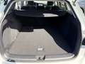 Volkswagen Golf Variant 1,5 TSI Life | VOLL-LED Weiß - thumbnail 15
