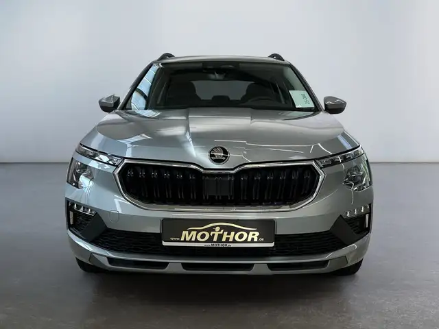 Skoda Kamiq view 6
