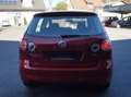 Volkswagen Golf Plus Golf Plus Rabbit 1,6 TDI DPF Rabbit Rot - thumbnail 5