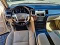 Cadillac Escalade 6,2 L V8 personenwagen Blanc - thumbnail 4